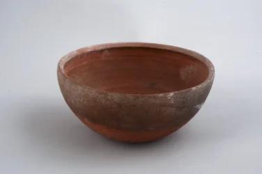 Taza